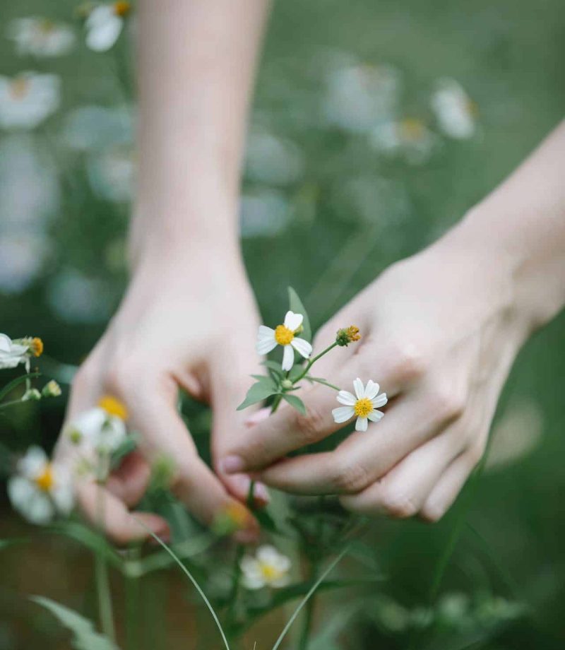 Teinture-Mere-Enfants-Phytopediatrie